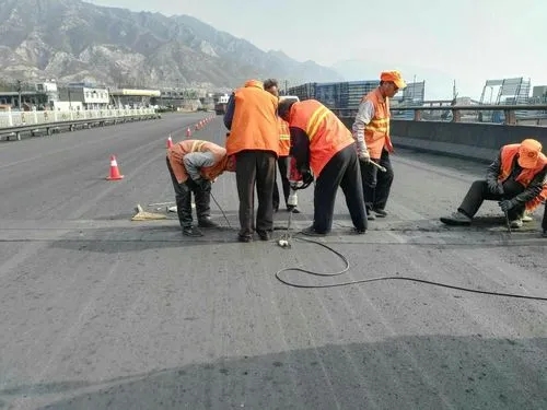 高阳道路桥梁病害治理